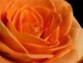 Fotografies   9-8-11   19:02